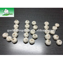 5.5cm jining Brother Kingdom garlic